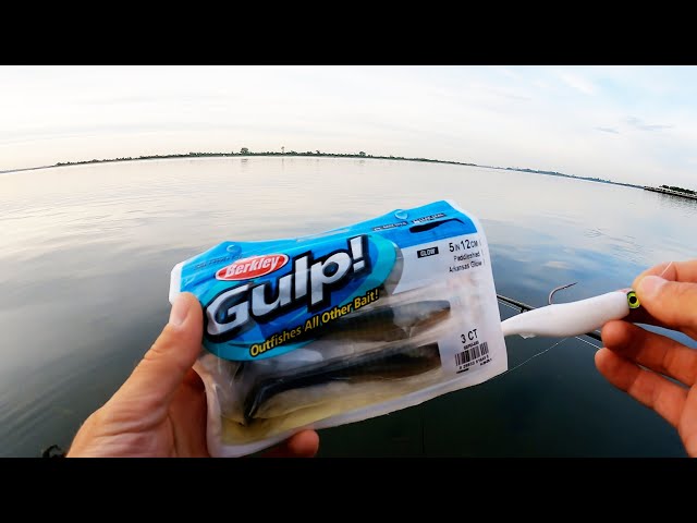 Berkley Gulp! Paddleshad for Striped Bass & Blue Fish