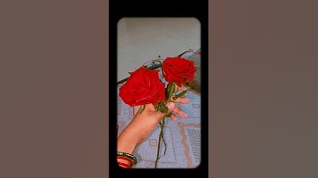 sahiba #song #newsong #youtubeshorts #viralshorts