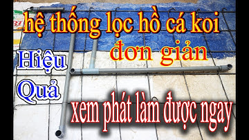Kết cấu hệ thống lọc hồ cá koi thực tế đơn giản nhất