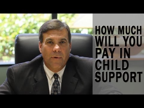 How much will I pay in child support?