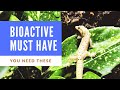 9 Bioactive Reptile Products You NEED!