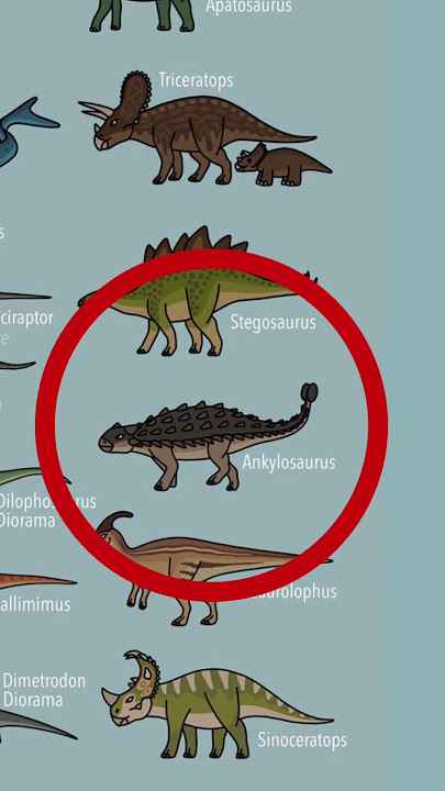 Types of Dinosaur Pt 19