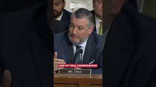 Senator Ted Cruz: Consequences for AI Companies Targeting Kids #GUARDAct #protectkids