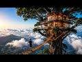 I Built a Luxury Treehouse 1,000 Feet Above the Ground | BuildNova USA 