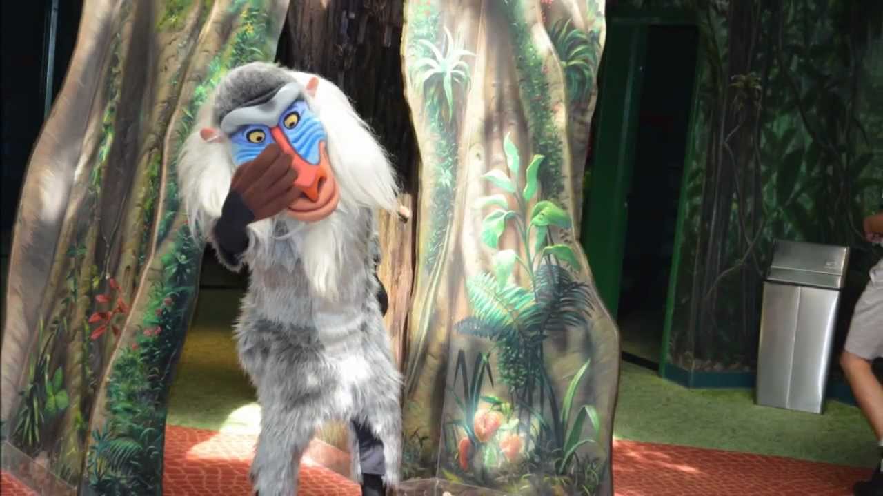 Rafiki's Planet Watch and Conservation Station at Disney's Animal ...