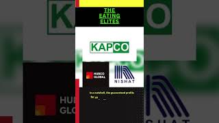 Decoding the Nexus between the Hefty Energy Bills & IPPs