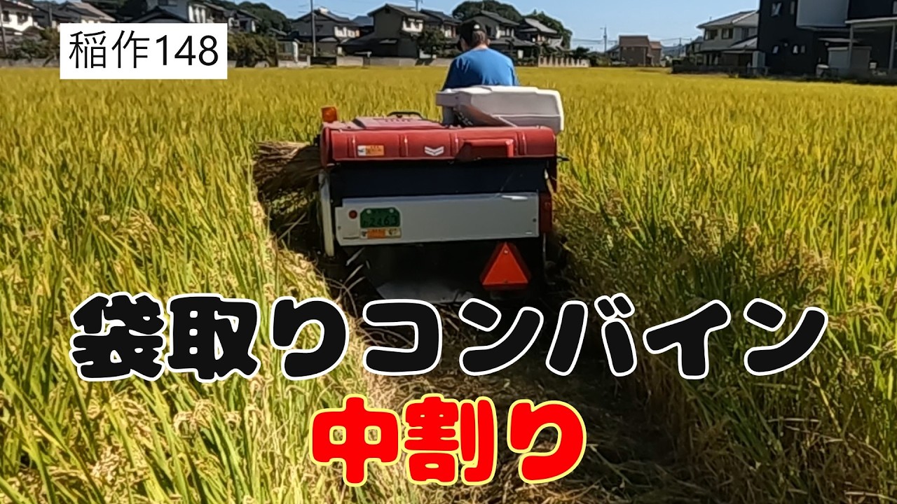 2025 Rice Harvest] Bag-harvesting combine course - YouTube
