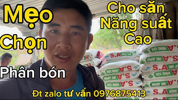 Mẹo chọn phân bón cho mì đạt năng suất cao Trần Văn Hảo