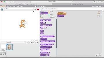 Next Costume Scratch Looks Blocks Purple