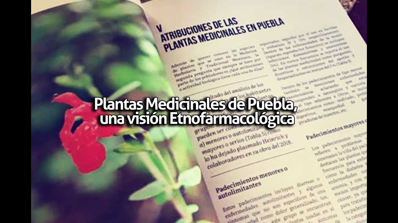 Emisión 17/02/2021: Plantas Medicinales de Puebla, una visión