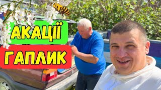 Наїлись Меду З Акації? 🍯 Холод, голод, а вощина Медове Місто🐝