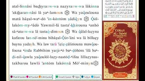 ختمة من مصحف التجويد باللغة الفرنسية الصفحة رقم 431
