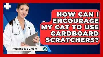 How Can I Encourage My Cat To Use Cardboard Scratchers? - PetGuide360.com