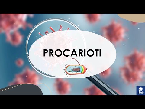 Video: I procarioti hanno i mesosomi?