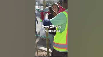 How Urban Trees Benefit Our Economy | Arbor Day Foundation