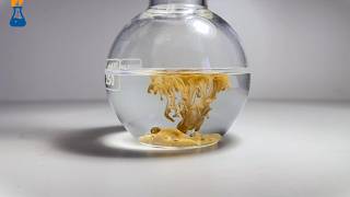 Experiment #1 | A Surprising Precipitate Appears! (AgNO₃ + NaOH) 😲