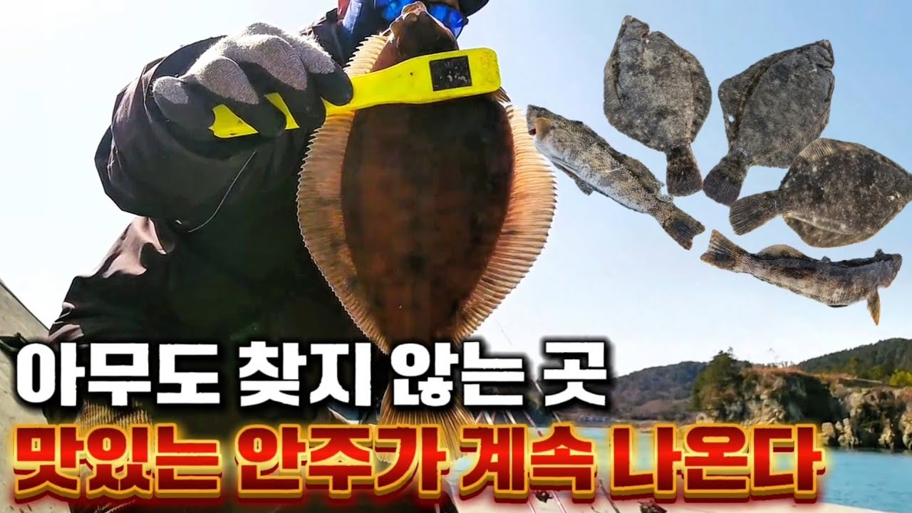 아무도 찾지 않는 조용한 방파제에서 고기가 계속 나온다 #거제도다리 #거제원투낚시 #창원투