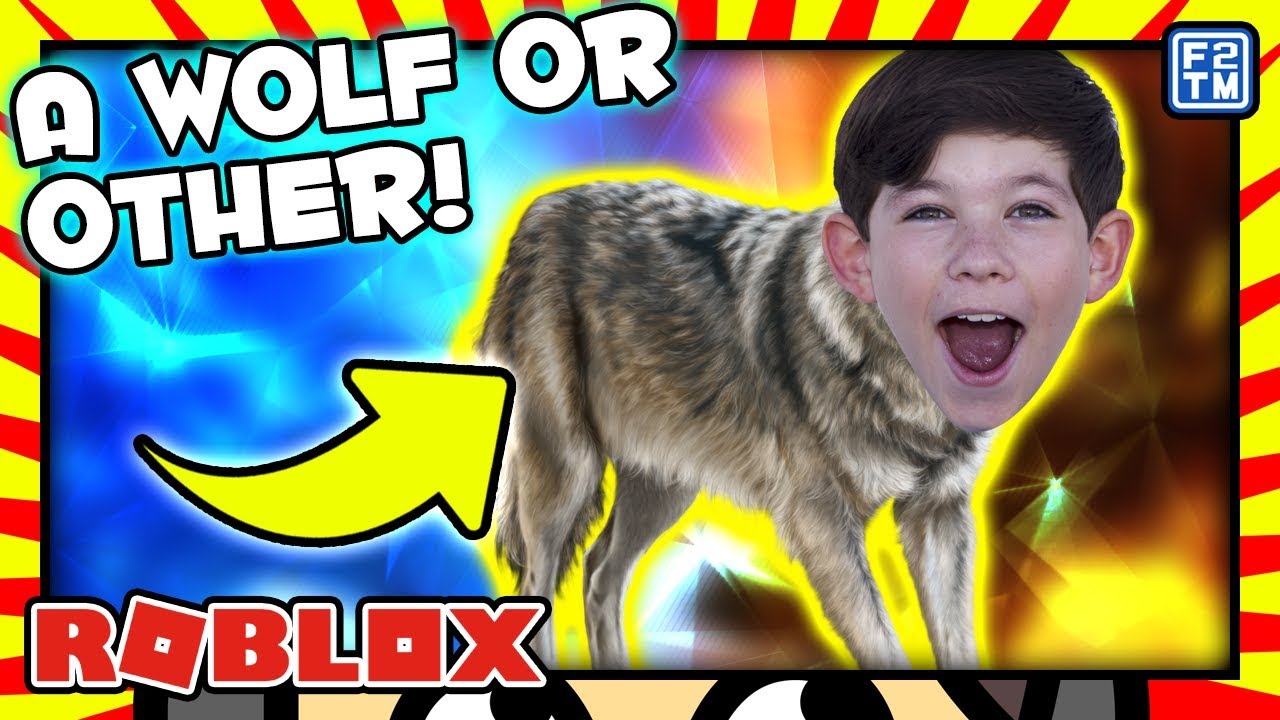 Roblox A Wolf Or Other Wolves In Human Clothing Youtube - wolfs obby roblox