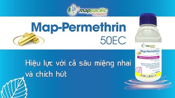 MAP PERMETHRIN 50EC: KHÔNG SÓT MỘT CON - KHÔNG CÒN MỘT MỐNG