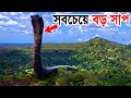 পৃথিবীর সবচেয়ে বড় সাপ Titanoboa যদি আবার ফিরে আসে তাহলে কি হবে? What If Titanoboa Didn't Go Extinct?