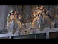 Калининград 2022 органный концерт в Кафедральном Соборе