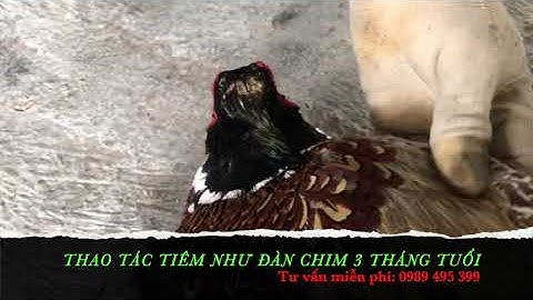 Do nguyên nhân nào mà