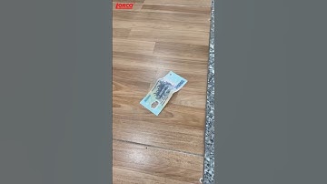 Vị khách hàng này sộp quá