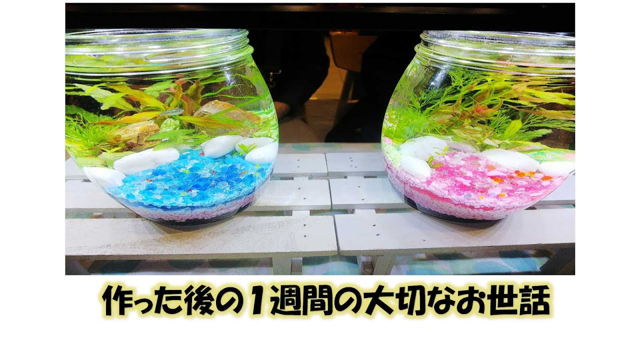 ボトリウムのお手入れは超カンタン お子さまもできるように考えてあります 日本初の ボトリウム 専門店