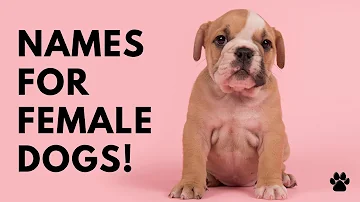 What are good French dog names?
