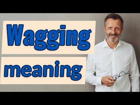 Wagging | Definition Of Wagging