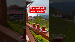Çayın merkezi Rize 🌿 #rize #çay #karadeniz #minivlog #vlog #keşfet #travel #trending #trendingshorts