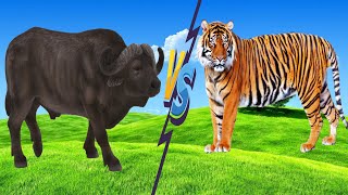 8 Times Wild Animals Surrounds Its Prey So It Can't Escape - Fighting Buffalo vs Tiger,