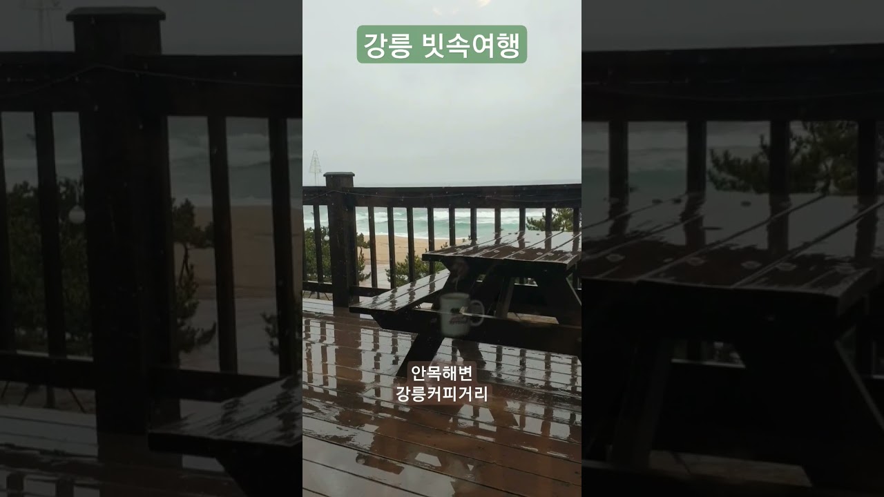 강릉 빗속 여행 안목해변 강릉카페거리 #shorts #Gangneung #rain