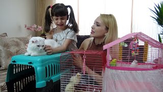 Tatile Gidiyoruz Kedi miz Pamuk ve Lina Ayrılamıyorlar Lina Çok Üzüldü Ağladı | Prenses Lina