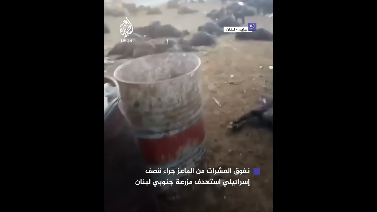 صور متداولة تظهر دمارًا ونفوق عشرات الماعز جراء قصف إسرائيلي على مزرعة في جزين جنوبي لبنان