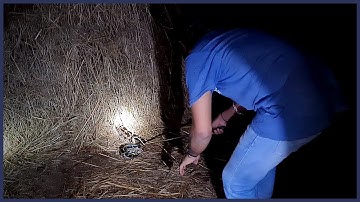 #Goa | INDIAN ROCK PYTHON | SNAKE | HOW TO SNAKE RESCUE | WILDLIFE EXPLORER | RESCUED BY SADIK