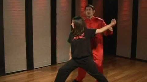 Kung Fu Tan Tui 3 Back Fist Scrape Block Uppercut