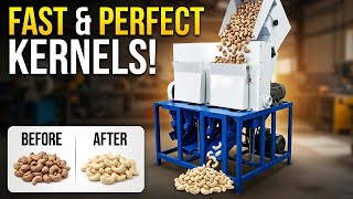 Is This the Best Cashew Processing Machine?
