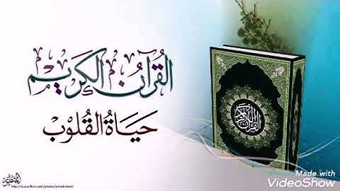 سورة القلم 🍃محمد صديق المنشاوي 🍃