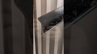Civil War musket struck by lightning!