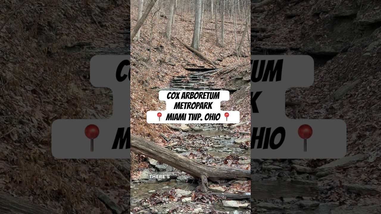 This place has it all! 