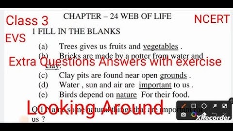 Worksheet/Web Of Life -Extra Questions Answers with exercise|NCERT EVS |Class 3| Chapter 24 #libanam