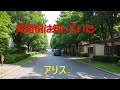 街路樹は知っていた   アリス