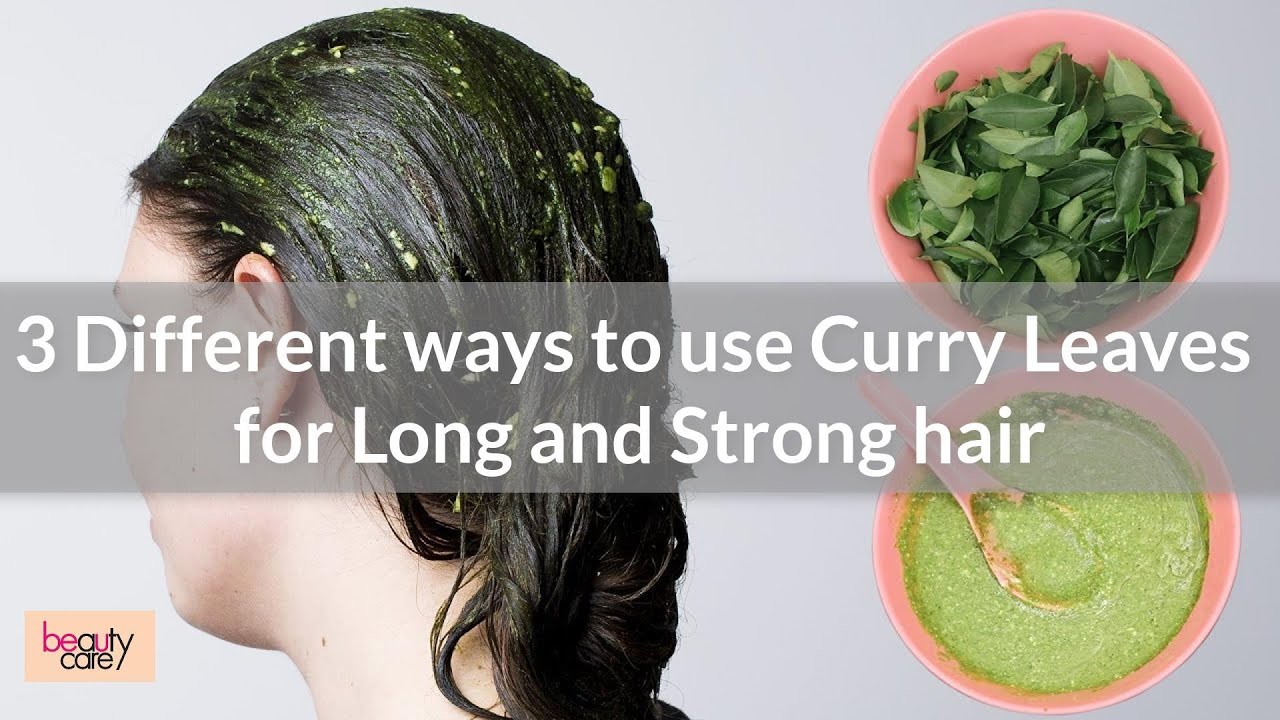 DIY Curry Leaf Hair Oil Recipe  Wholesome Benefits Of Using This  Ingredient Regularly On Your Mane  HerZindagi