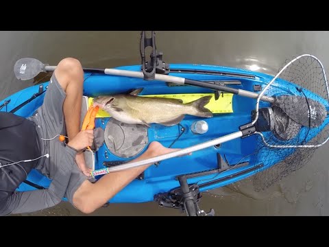 Giant October Lake Michigan Channel Catfish from YouTube · High Definition · Duration: 1 minutes 44 seconds · 298 views · uploaded on 10/15/2016 · uploaded by Dillon Evans Giant October Lake Michigan Channel Catfish from YouTube · High Definition · Duration: 1 minutes 44 seconds · 298 views · uploaded on 10/15/2016 · uploaded by Dillon Evans