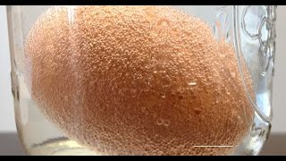 The Effects Of Mixing Vinegar With An Egg - Rubber Egg Experiment
