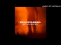 Throttlerod Honest Joe mp3