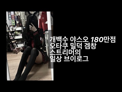 개백수 오타쿠 밀덕 겜창 스트리머의 일상 브이로그
