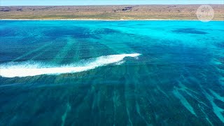 Famous Understanding Ningaloo Reef’s shallow reefs Profile
