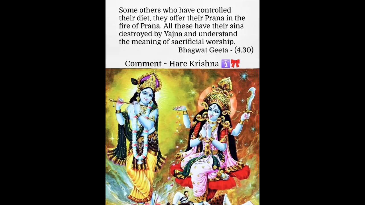 Bhagavad Gita 4.30🛐🎀Spiritual Wisdom of Yajna | Shree Krishna Thoughts Sanatani Devotion 2025